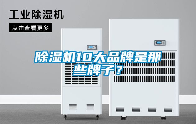 国产精品欧美激情视频 除湿机10大品牌是那些牌子？