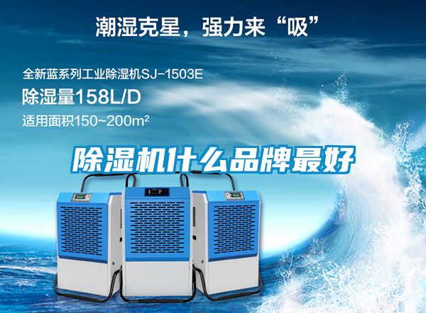 国产精品欧美激情视频 除湿机什么品牌最好