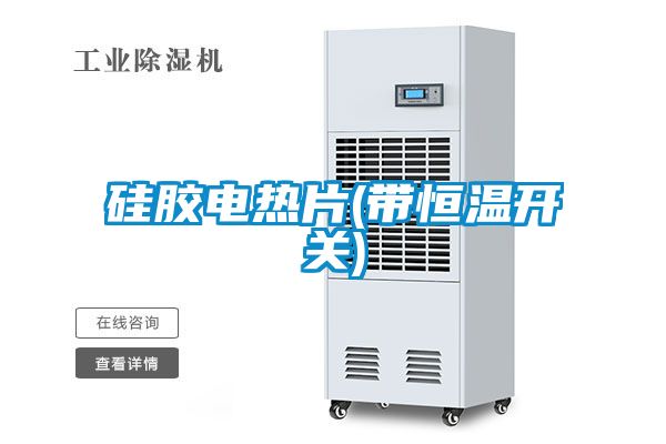 国产精品探花在线观看 硅胶电热片(带恒温开关)
