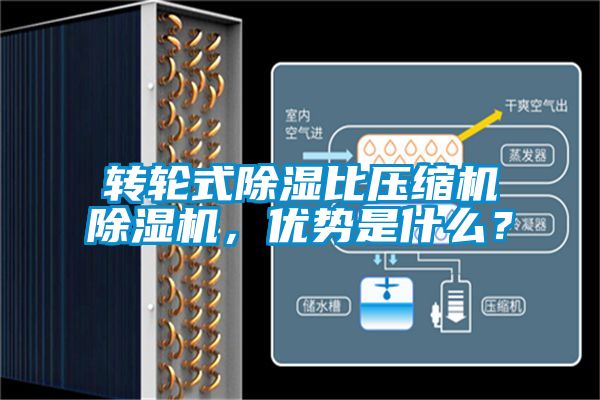 国产精品欧美激情视频 转轮式除湿比压缩机除湿机，优势是什么？
