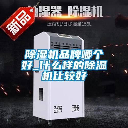 国产精品欧美激情视频 除湿机品牌哪个好_什么样的除湿机比较好