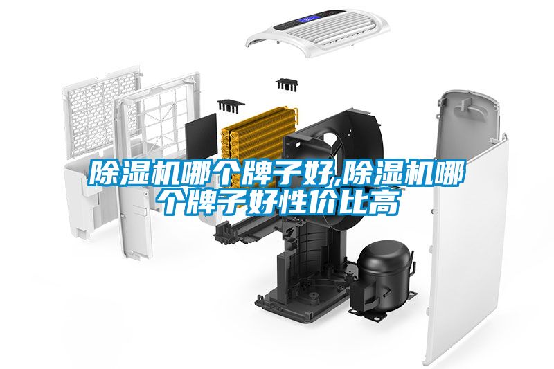 国产精品探花在线观看 除湿机哪个牌子好,除湿机哪个牌子好性价比高