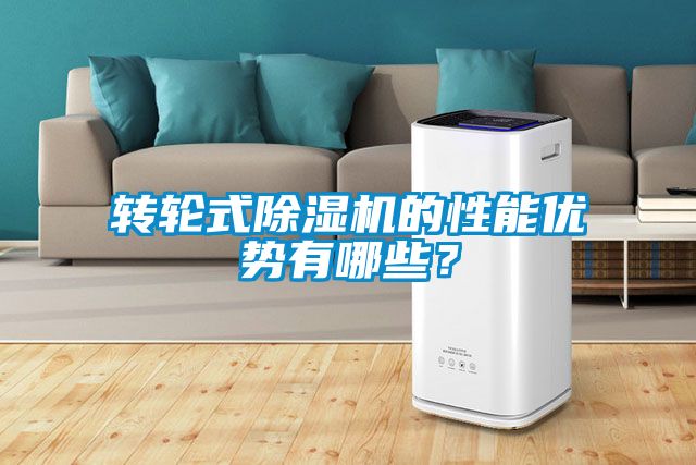国产精品三级在线观看 转轮式除湿机的性能优势有哪些？