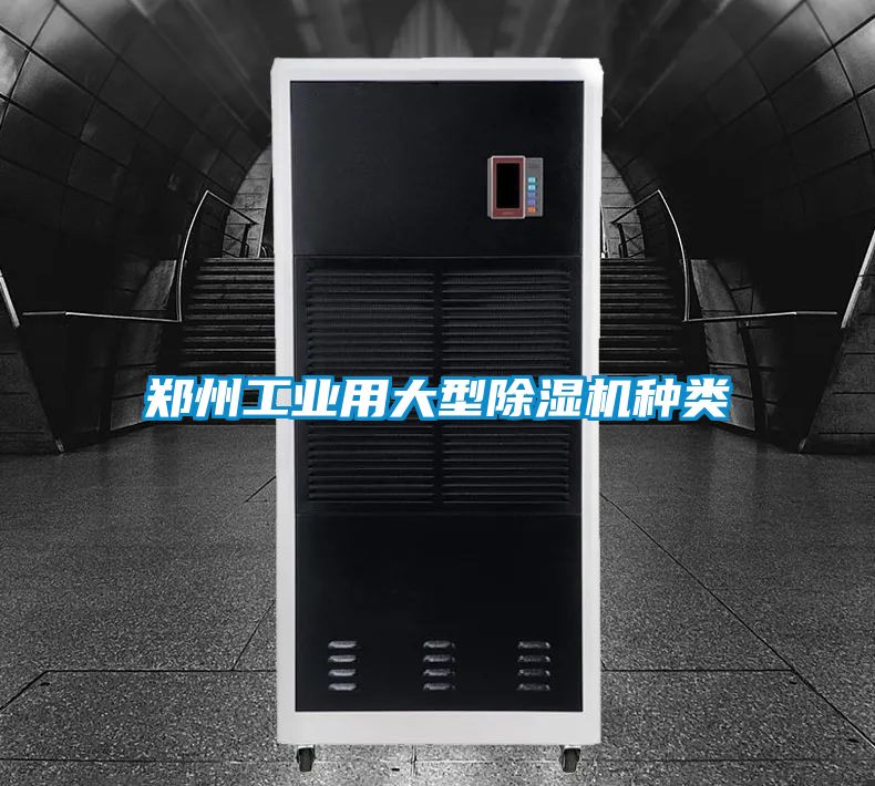 国产精品欧美激情视频 郑州工业用大型除湿机种类