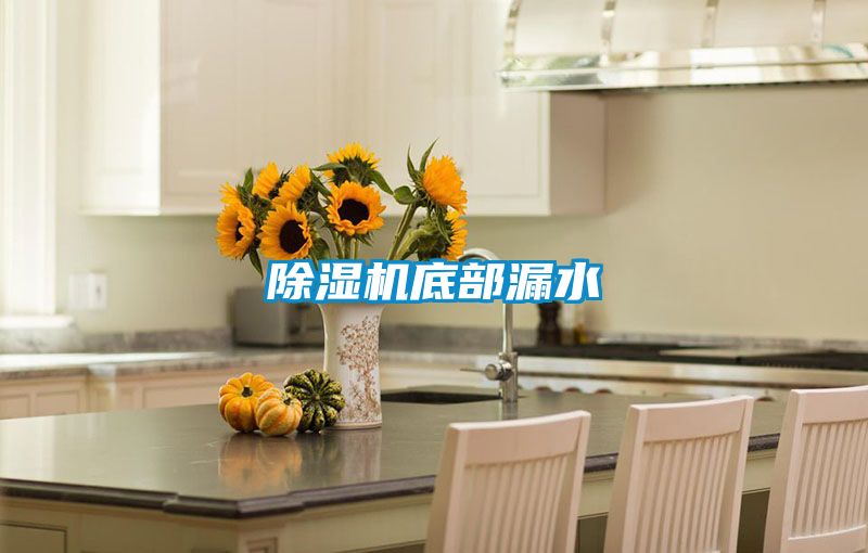 国产精品欧美激情视频 除湿机底部漏水