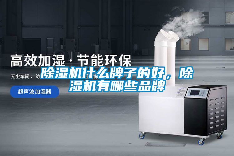 国产精品探花在线观看 除湿机什么牌子的好，除湿机有哪些品牌
