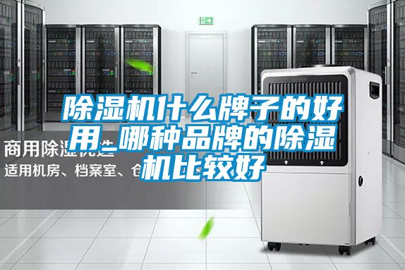 国产精品三级在线观看 除湿机什么牌子的好用_哪种品牌的除湿机比较好
