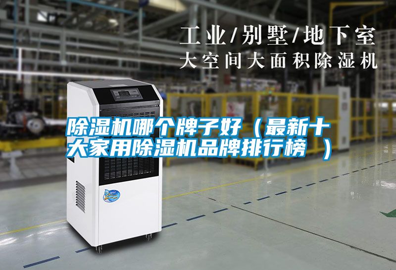 国产精品欧美激情视频 除湿机哪个牌子好（最新十大家用除湿机品牌排行榜 ）