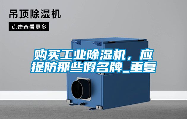 国产精品探花在线观看 购买工业除湿机，应提防那些假名牌_重复