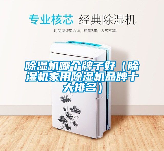 国产精品欧美激情视频 除湿机哪个牌子好（除湿机家用除湿机品牌十大排名）