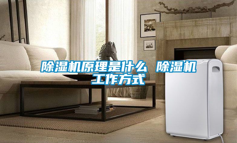 国产精品欧美激情视频 除湿机原理是什么 除湿机工作方式