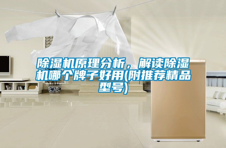 国产精品三级在线观看 除湿机原理分析，解读除湿机哪个牌子好用(附推荐精品型号)