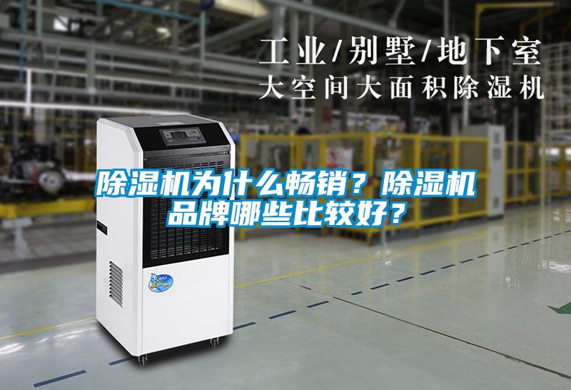 国产精品探花在线观看 除湿机为什么畅销？除湿机品牌哪些比较好？
