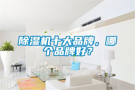 国产精品探花在线观看 除湿机十大品牌，哪个品牌好？