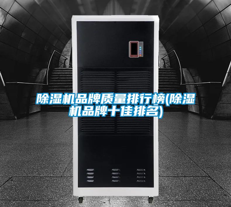 国产精品欧美激情视频 除湿机品牌质量排行榜(除湿机品牌十佳排名)