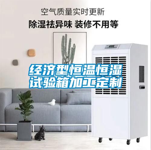 国产精品三级在线观看 经济型恒温恒湿试验箱加工定制
