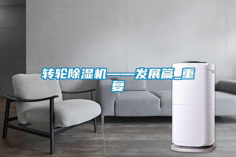 国产精品三级在线观看 转轮除湿机——发展篇_重复
