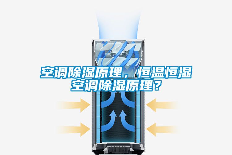 国产精品三级在线观看 空调除湿原理，恒温恒湿空调除湿原理？