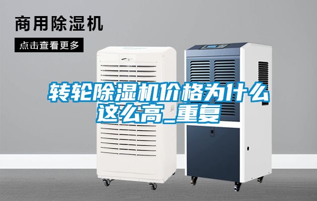 国产精品欧美激情视频 转轮除湿机价格为什么这么高_重复