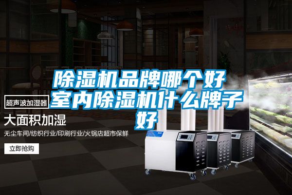 国产精品三级在线观看 除湿机品牌哪个好 室内除湿机什么牌子好