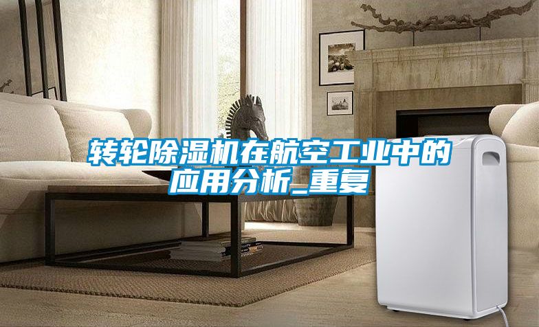 国产精品三级在线观看 转轮除湿机在航空工业中的应用分析_重复