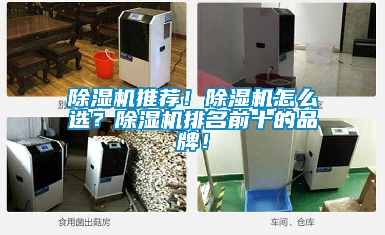 国产精品欧美激情视频 除湿机推荐！除湿机怎么选？除湿机排名前十的品牌！
