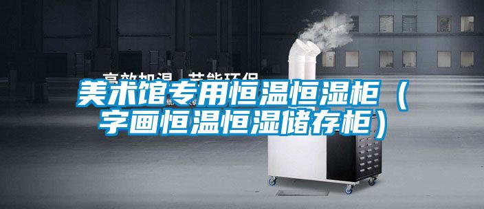 国产精品三级在线观看 美术馆专用恒温恒湿柜（字画恒温恒湿储存柜）