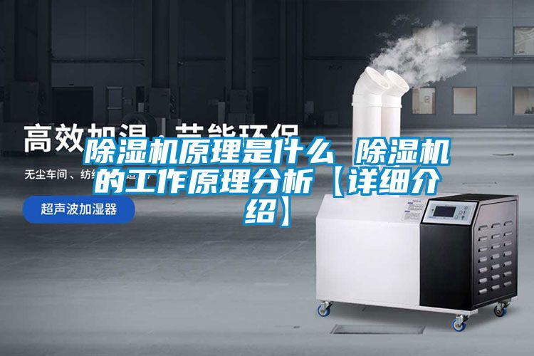 国产精品欧美激情视频 除湿机原理是什么 除湿机的工作原理分析【详细介绍】