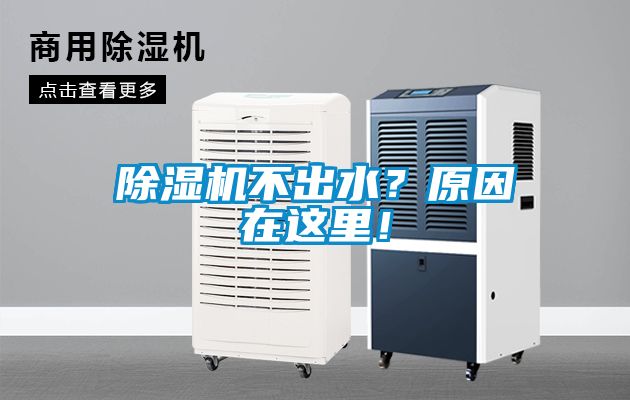 国产精品三级在线观看 除湿机不出水？原因在这里！