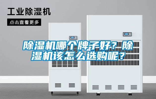 国产精品欧美激情视频 除湿机哪个牌子好？除湿机该怎么选购呢？