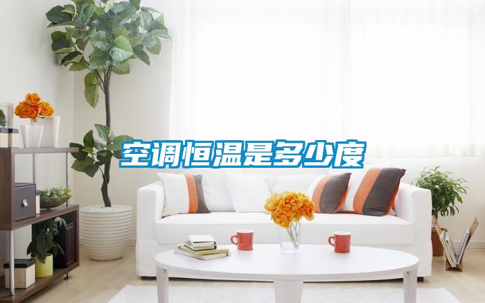 国产精品三级在线观看 空调恒温是多少度