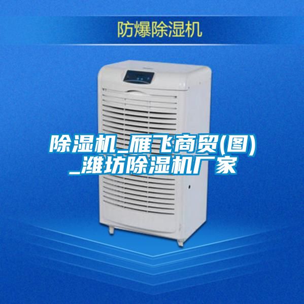 国产精品三级在线观看 除湿机_雁飞商贸(图)_潍坊除湿机厂家