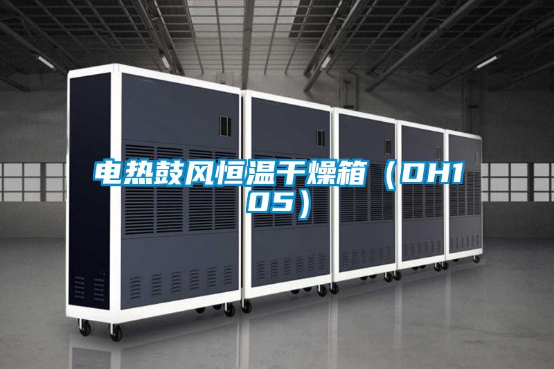 国产精品三级在线观看 电热鼓风恒温干燥箱（DH105）