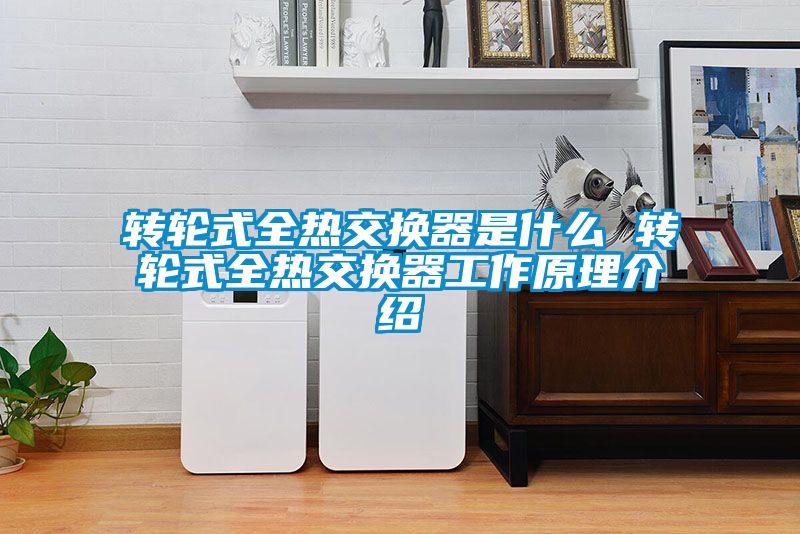 国产精品欧美激情视频 转轮式全热交换器是什么 转轮式全热交换器工作原理介绍