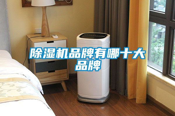 国产精品欧美激情视频 除湿机品牌有哪十大品牌