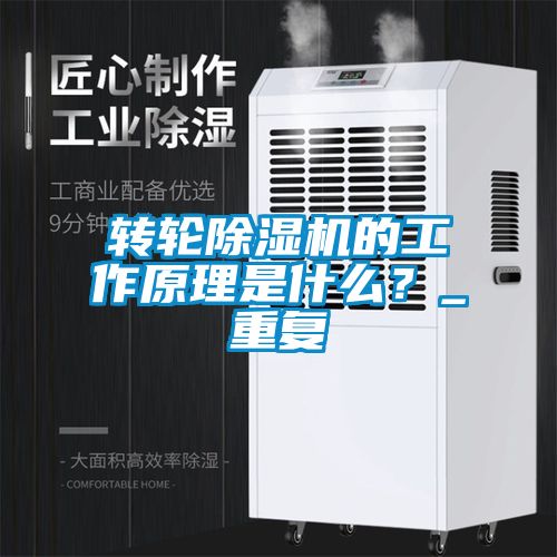 国产精品三级在线观看 转轮除湿机的工作原理是什么？_重复