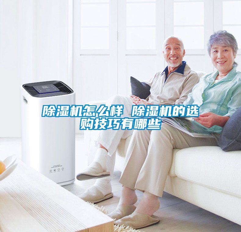 国产精品三级在线观看 除湿机怎么样 除湿机的选购技巧有哪些