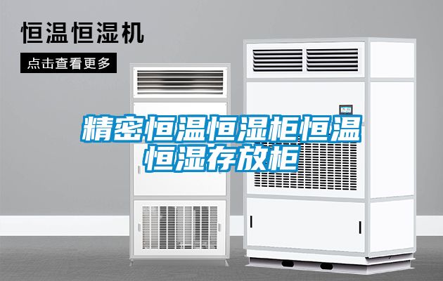 国产精品欧美激情视频 精密恒温恒湿柜恒温恒湿存放柜