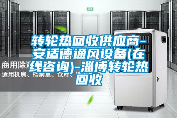 国产精品欧美激情视频 转轮热回收供应商-安适德通风设备(在线咨询)-淄博转轮热回收