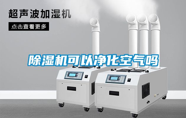 国产精品探花在线观看 除湿机可以净化空气吗