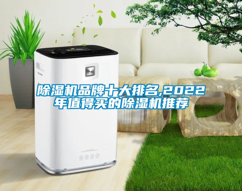 国产精品欧美激情视频 除湿机品牌十大排名,2022年值得买的除湿机推荐