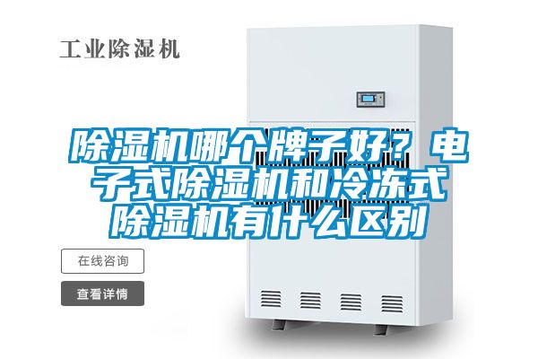 国产精品欧美激情视频 除湿机哪个牌子好？电子式除湿机和冷冻式除湿机有什么区别