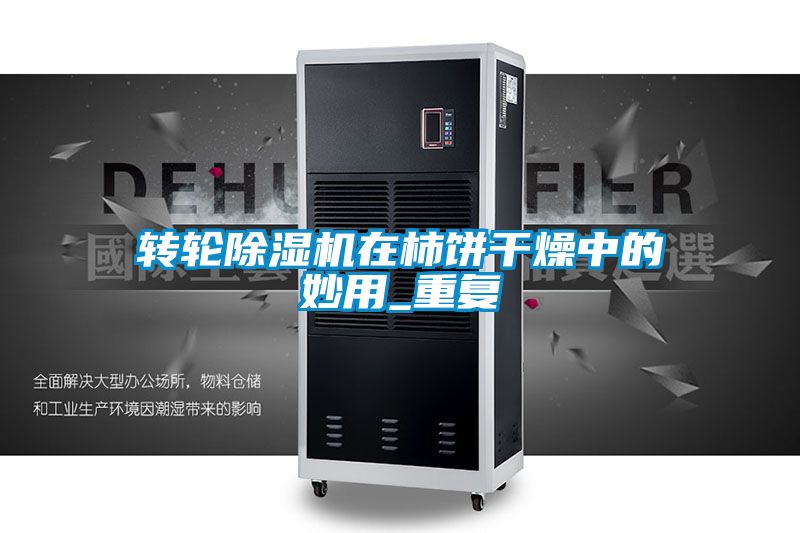 国产精品三级在线观看 转轮除湿机在柿饼干燥中的妙用_重复
