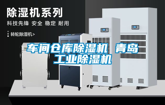 国产精品探花在线观看 车间仓库除湿机 青岛工业除湿机