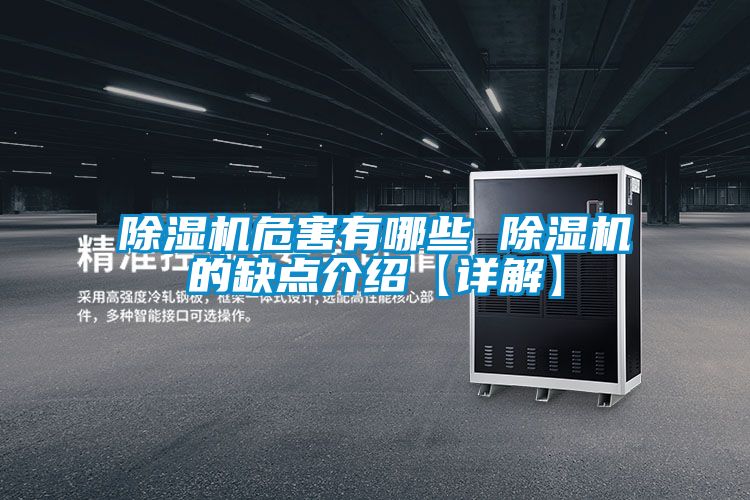 国产精品欧美激情视频 除湿机危害有哪些 除湿机的缺点介绍【详解】