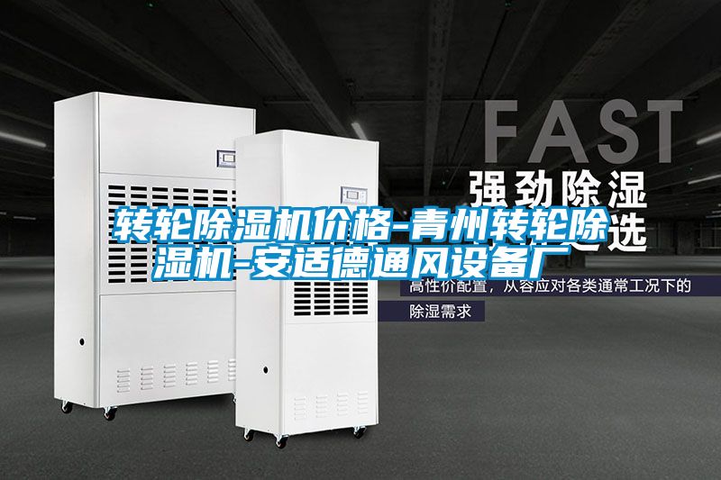 国产精品三级在线观看 转轮除湿机价格-青州转轮除湿机-安适德通风设备厂