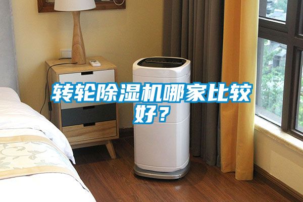 国产精品三级在线观看 转轮除湿机哪家比较好？