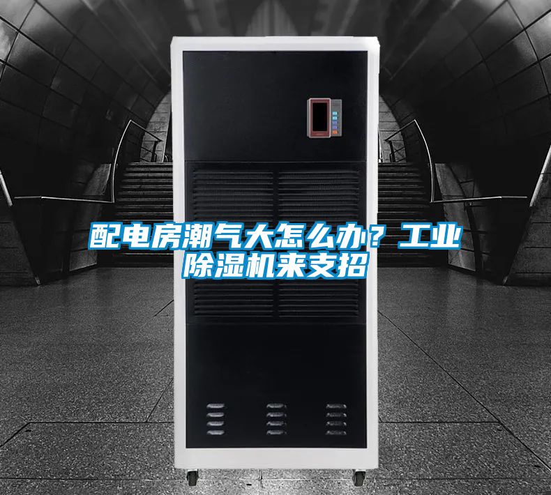 国产精品欧美激情视频 配电房潮气大怎么办？工业除湿机来支招