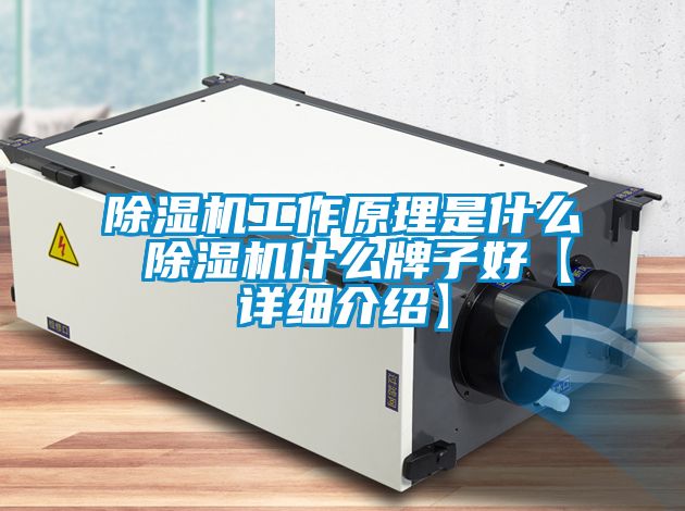 国产精品欧美激情视频 除湿机工作原理是什么 除湿机什么牌子好【详细介绍】
