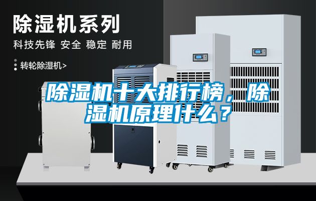 国产精品探花在线观看 除湿机十大排行榜，除湿机原理什么？